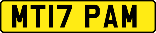 MT17PAM