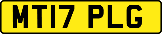 MT17PLG