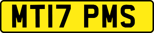 MT17PMS