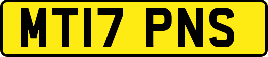 MT17PNS