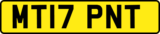 MT17PNT