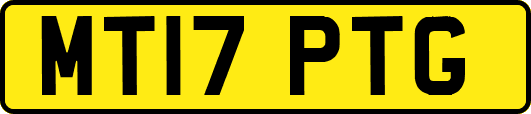 MT17PTG