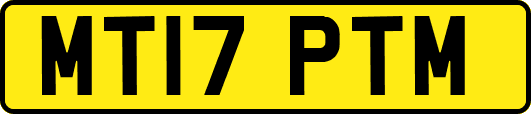 MT17PTM