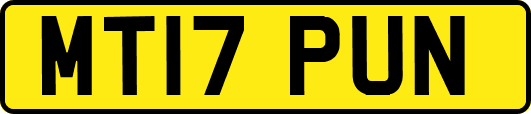 MT17PUN