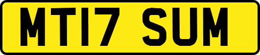MT17SUM