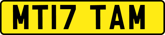 MT17TAM
