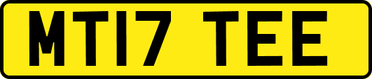 MT17TEE