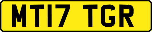 MT17TGR