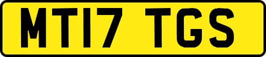 MT17TGS