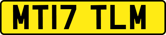 MT17TLM