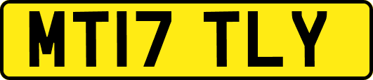MT17TLY
