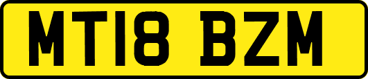 MT18BZM