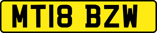 MT18BZW