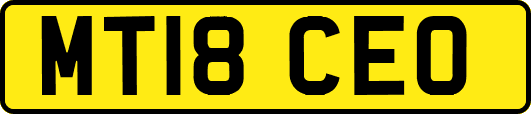 MT18CEO