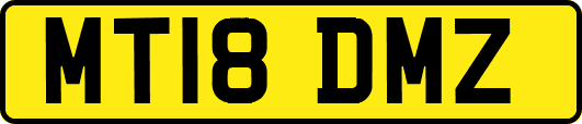 MT18DMZ