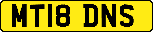 MT18DNS