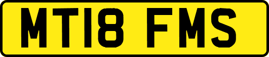 MT18FMS