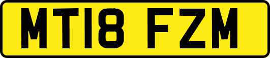 MT18FZM