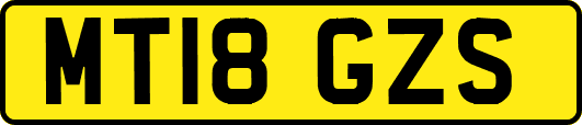 MT18GZS