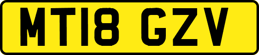 MT18GZV