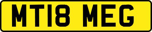MT18MEG
