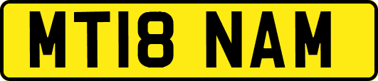 MT18NAM