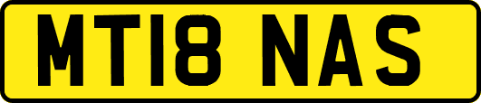 MT18NAS
