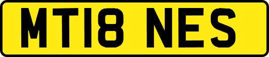 MT18NES