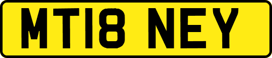 MT18NEY