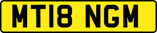 MT18NGM