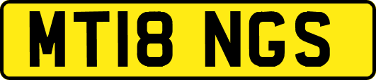 MT18NGS