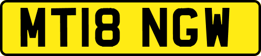 MT18NGW
