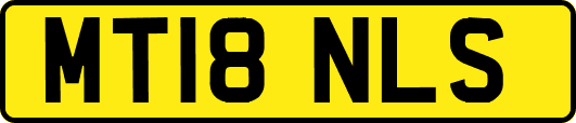 MT18NLS