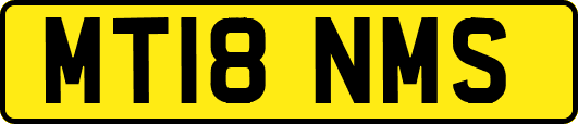 MT18NMS