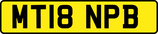 MT18NPB