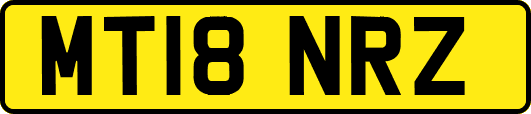 MT18NRZ