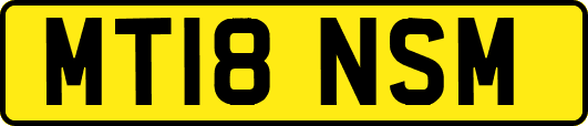 MT18NSM