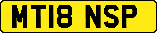 MT18NSP