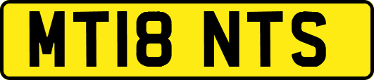 MT18NTS