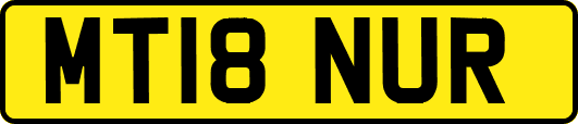 MT18NUR
