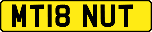 MT18NUT
