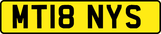 MT18NYS