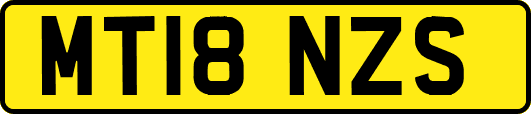 MT18NZS