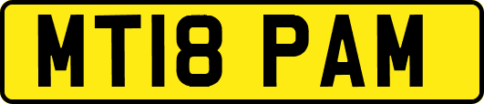 MT18PAM