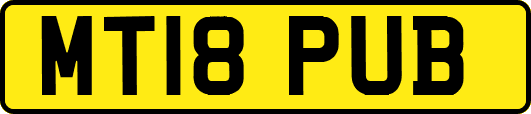 MT18PUB