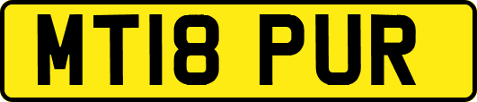 MT18PUR