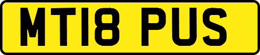 MT18PUS