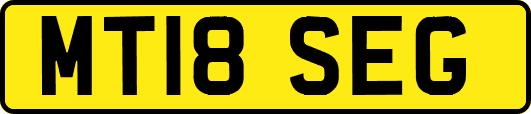 MT18SEG