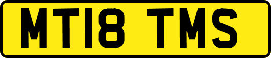 MT18TMS