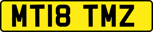 MT18TMZ